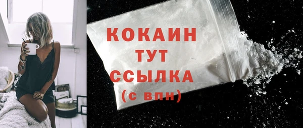 молекула духа Покачи