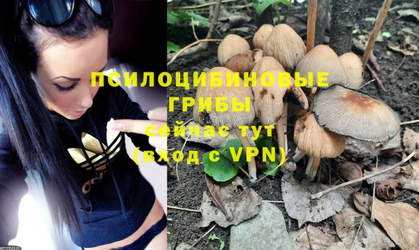 амфетамин Белокуриха