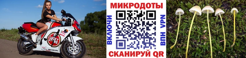 Псилоцибиновые грибы мицелий  наркошоп  Тулун 